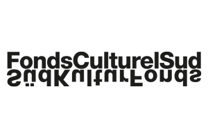 Fonds culturels Sud - artlink